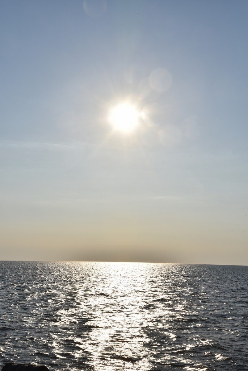 dsc_9471_fs.jpg