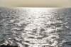 dsc_9472_fs_small.jpg