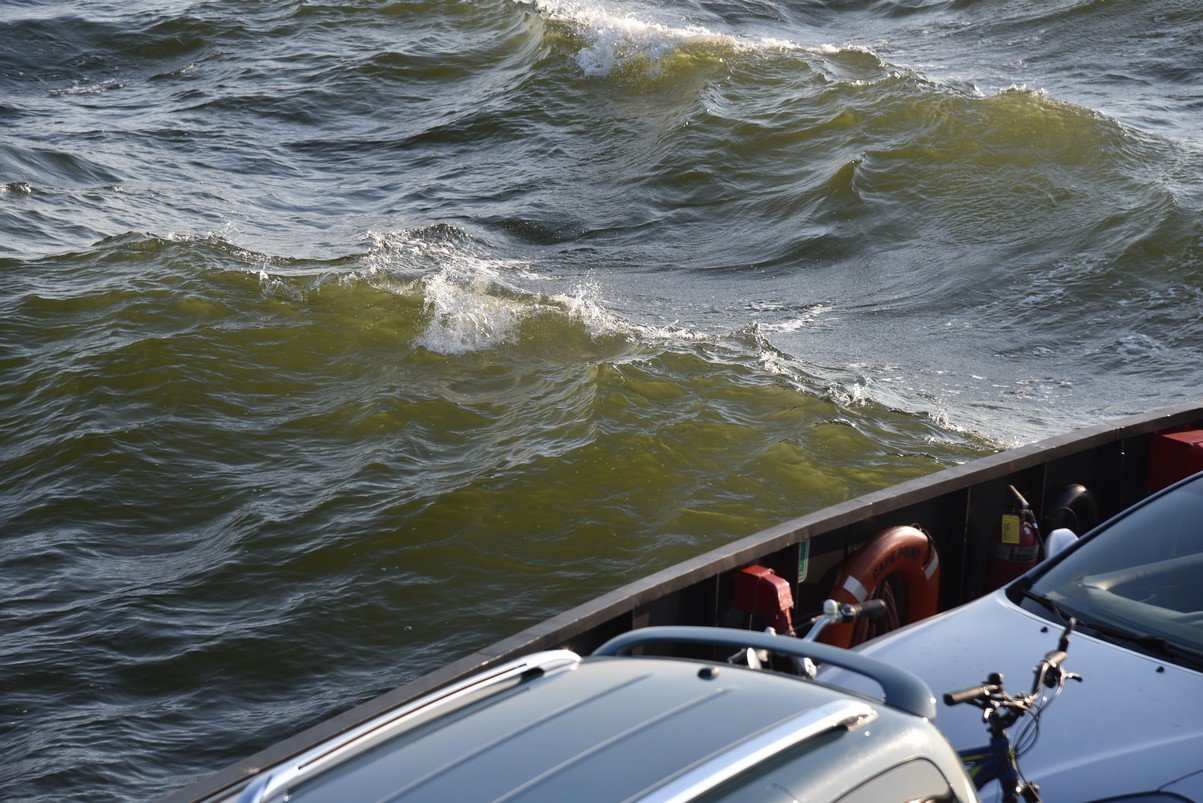dsc_9474_fs.jpg