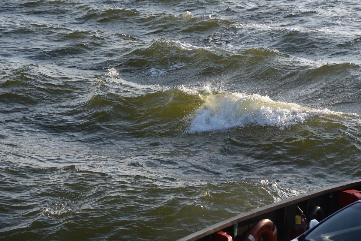 dsc_9475_fs.jpg