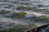 dsc_9475_fs_small.jpg