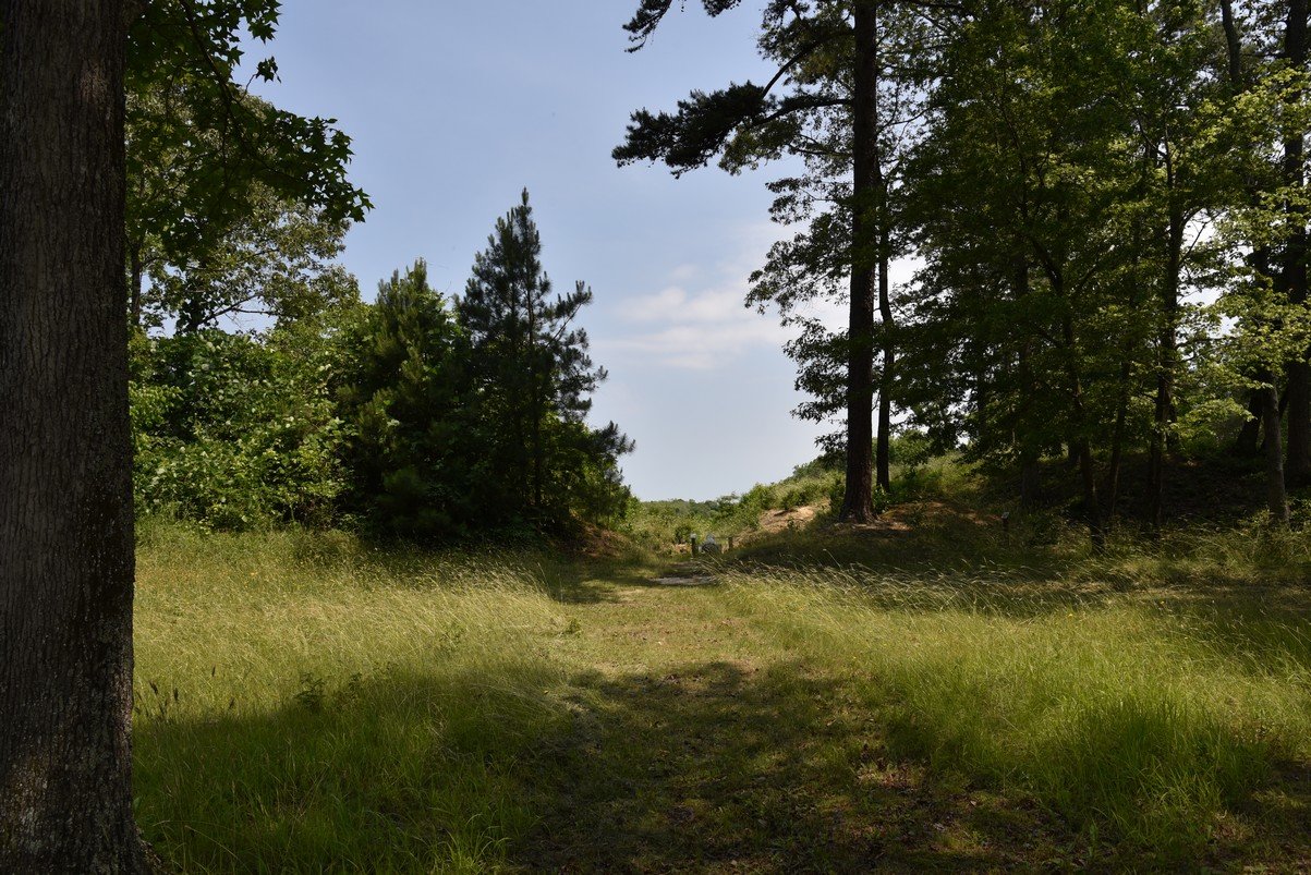 dsc_9514_fs.jpg