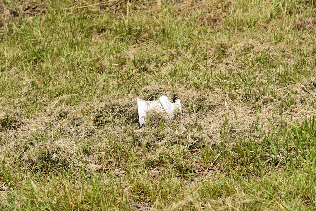 dsc_9520_fs.jpg