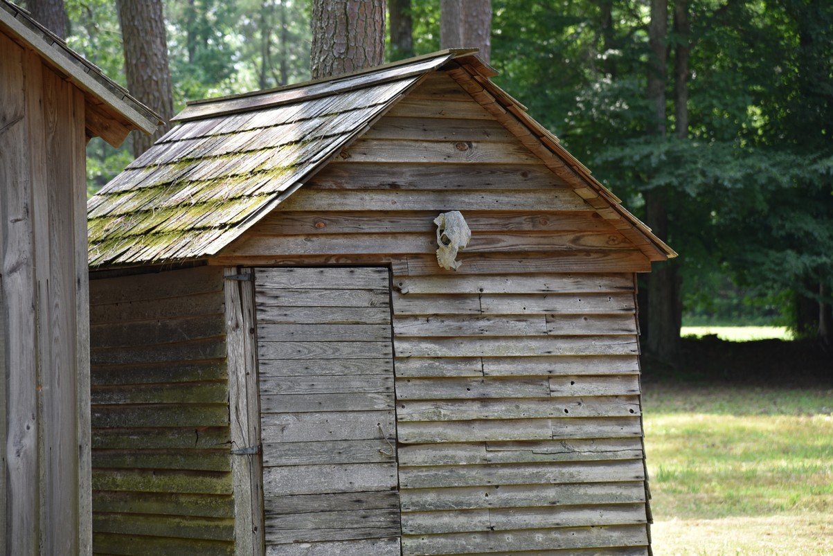 dsc_9540_fs.jpg
