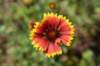 dsc_9559_fs_small.jpg
