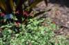 dsc_9571_fs_small.jpg
