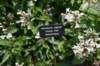 dsc_9573_fs_small.jpg