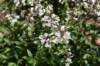 dsc_9574_fs_small.jpg