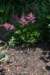 dsc_9576_fs_small.jpg
