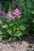 dsc_9577_fs_small.jpg