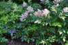 dsc_9578_fs_small.jpg