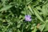 dsc_9580_fs_small.jpg