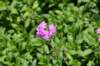 dsc_9582_fs_small.jpg