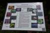 dsc_9584_fs_small.jpg