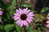 dsc_9587_fs_small.jpg