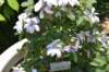 dsc_9588_fs_small.jpg