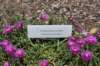 dsc_9590_fs_small.jpg