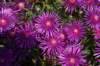 dsc_9592_fs_small.jpg