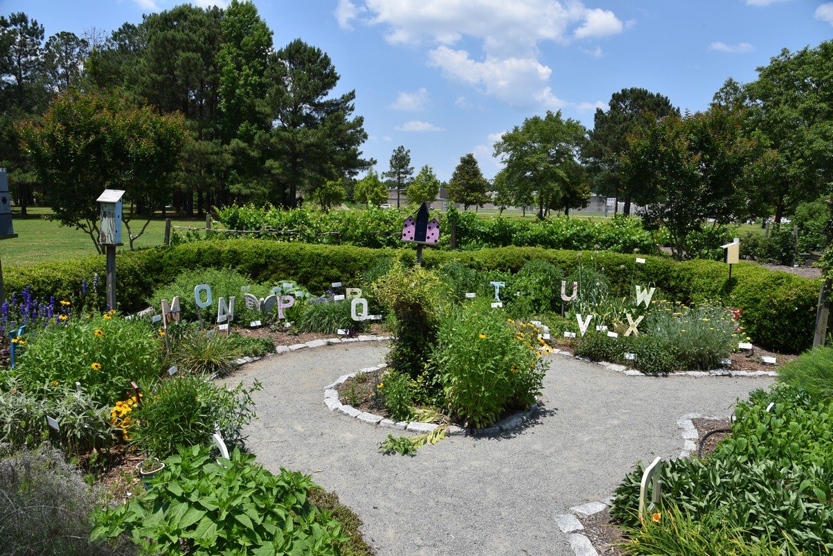 dsc_9593_fs.jpg