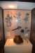dsc_9660_fs_small.jpg