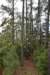 dsc_9671_fs_small.jpg