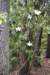 dsc_9672_fs_small.jpg