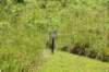 dsc_9711_fs_small.jpg