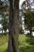dsc_9712_fs_small.jpg
