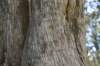 dsc_9713_fs_small.jpg