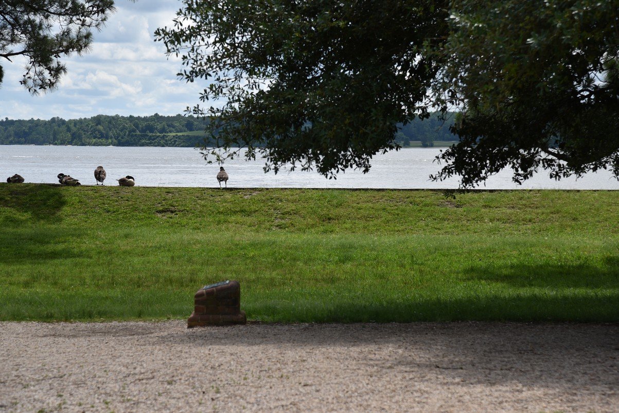 dsc_9727_fs.jpg