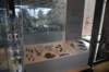 dsc_9760_fs_small.jpg