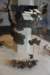 dsc_9773_fs_small.jpg