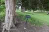 dsc_9793_fs_small.jpg
