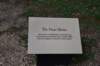 dsc_9800_fs_small.jpg