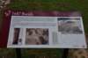 dsc_9814_fs_small.jpg