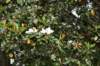 dsc_3254_fs_small.jpg