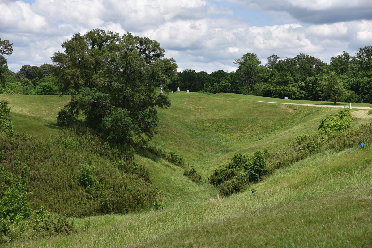dsc_3126_fs.jpg