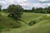 dsc_3126_fs_small.jpg