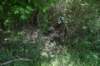 dsc_3144_fs_small.jpg