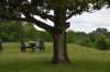 dsc_3177_fs_small.jpg