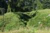 dsc_3326_fs_small.jpg