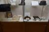 dsc_3349_fs_small.jpg