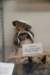 dsc_3353_fs_small.jpg