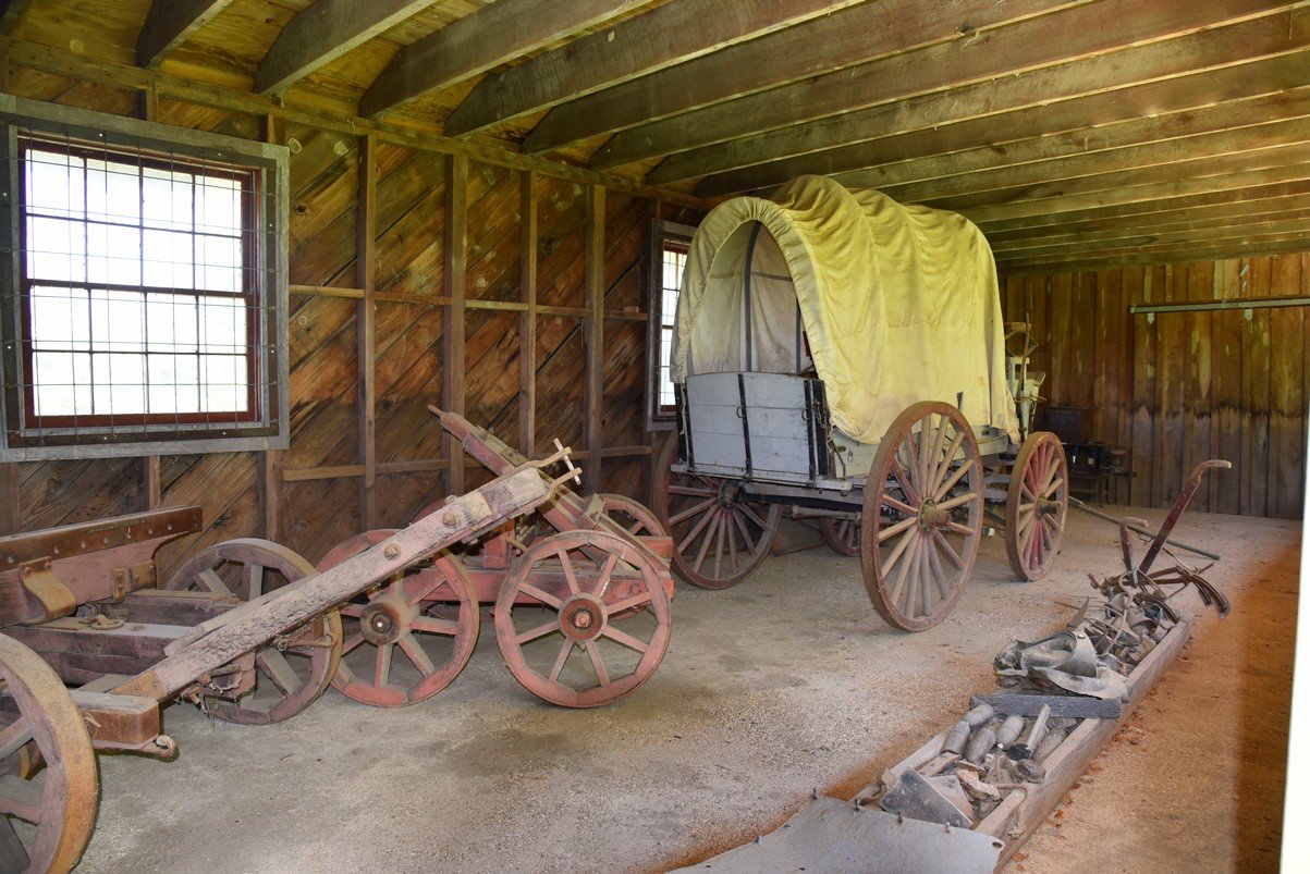 dsc_3365_fs.jpg