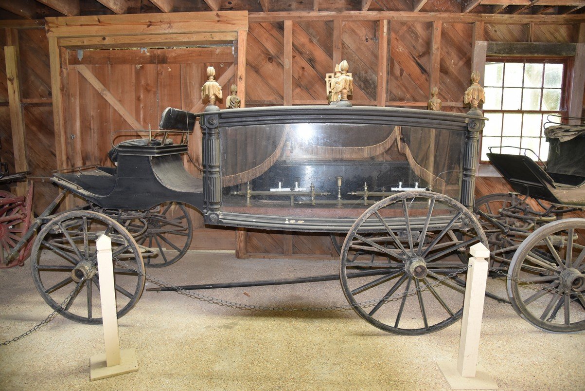 dsc_3374_fs.jpg