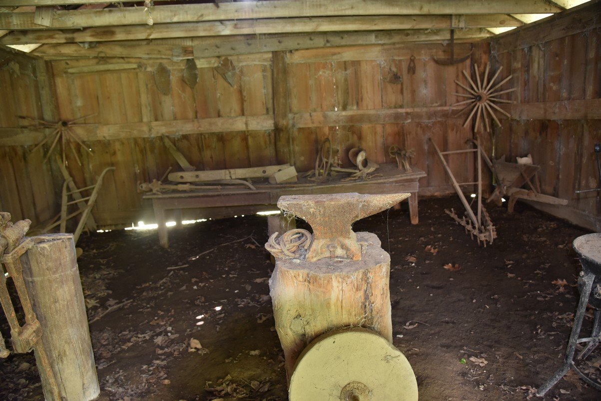 dsc_3380_fs.jpg