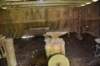 dsc_3380_fs_small.jpg