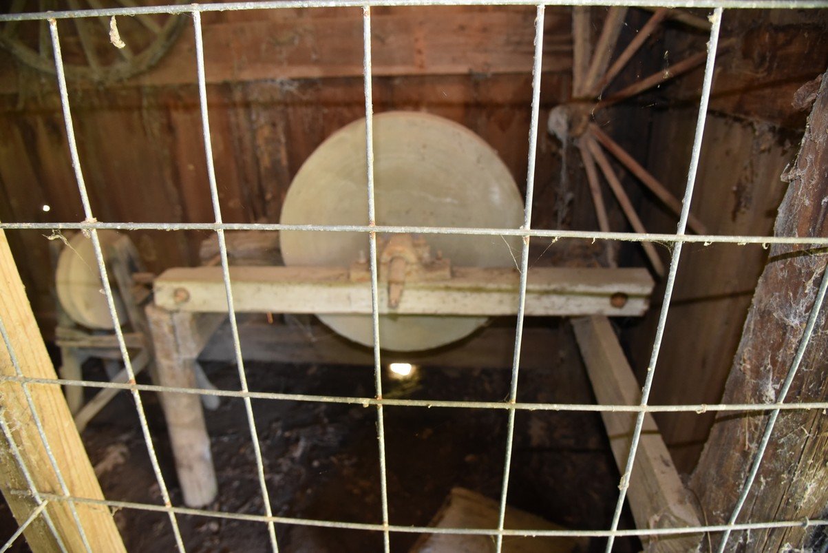 dsc_3381_fs.jpg