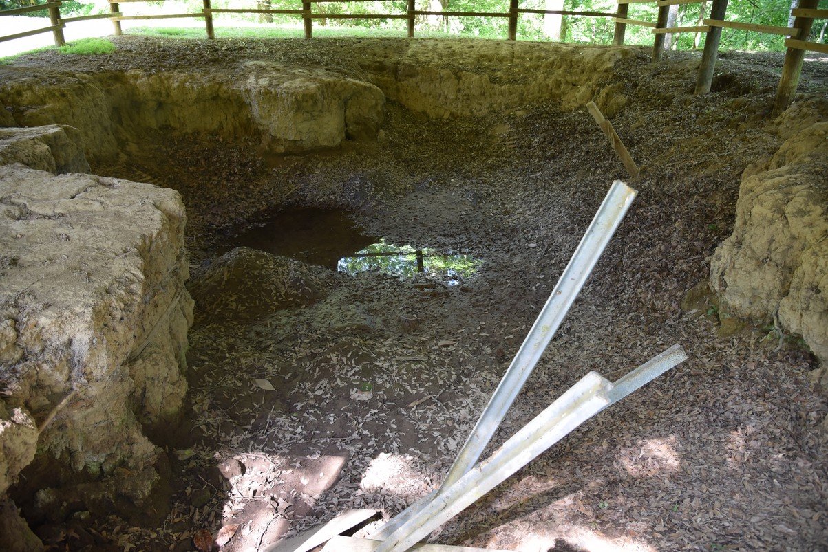 dsc_3399_fs.jpg