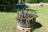 dsc_3401_fs_small.jpg